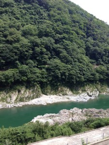 写真 (7)
