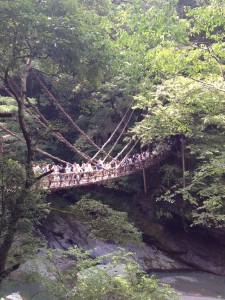 写真 (1)