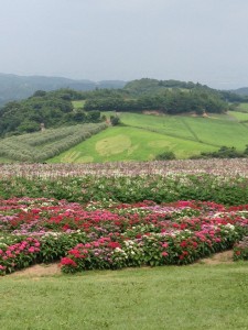 写真 (6)